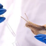 lab test